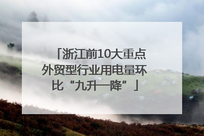 浙江前10大重点外贸型行业用电量环比“九升一降”
